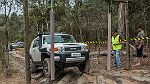 11-Timber Challenge 2